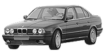 BMW E34 P256D Fault Code