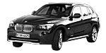 BMW E84 P256D Fault Code