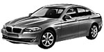 BMW F10 P256D Fault Code